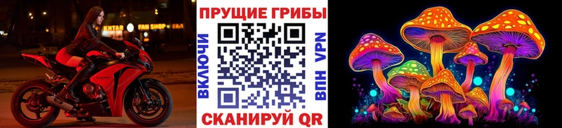 ссылка на мегу   Касли  Галлюциногенные грибы MAGIC MUSHROOMS 